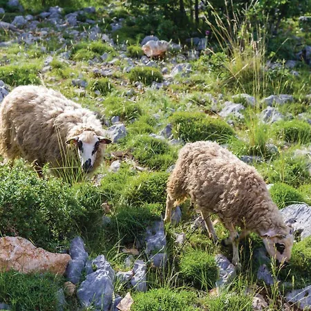 Сasa de vacaciones Two-bedroom In Biograd